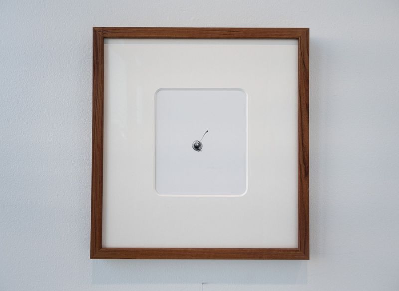 Delicate Triptych, Cherry 1