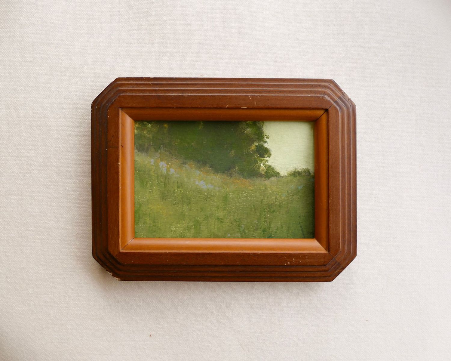 Meadow III