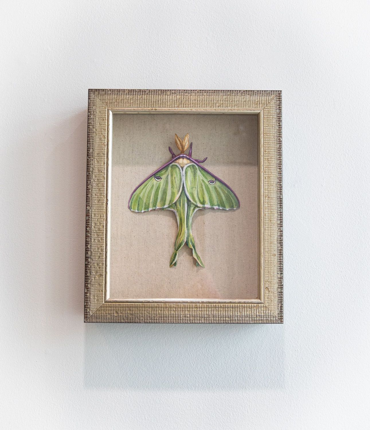 Lunar Moth