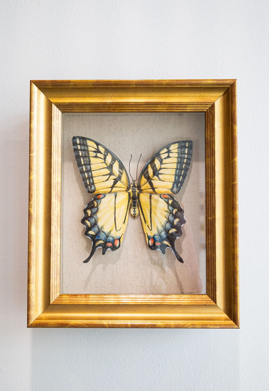 Yellow Butterfly