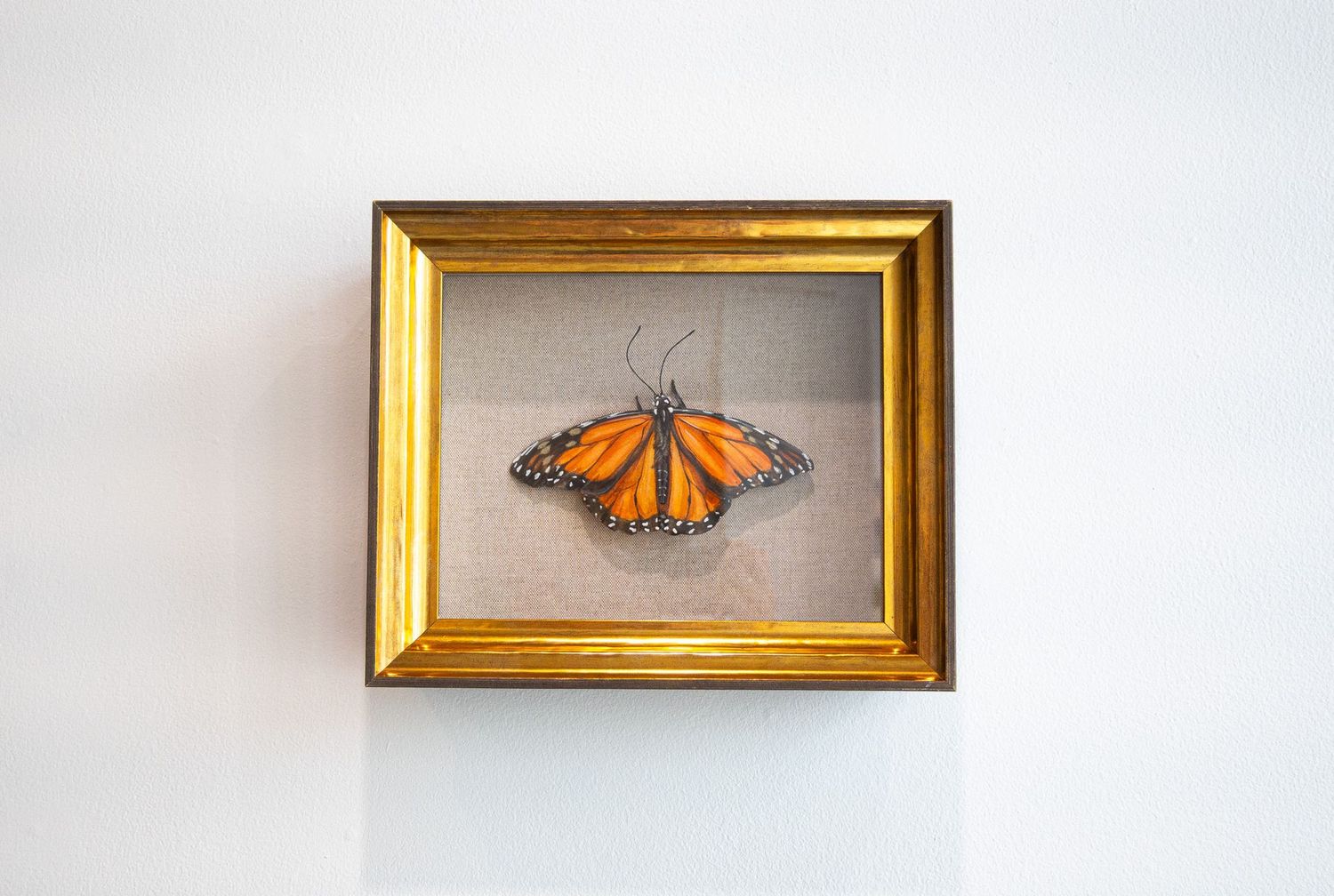 Monarch