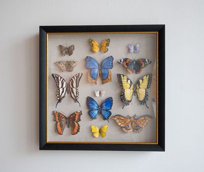 Two Swallowtails