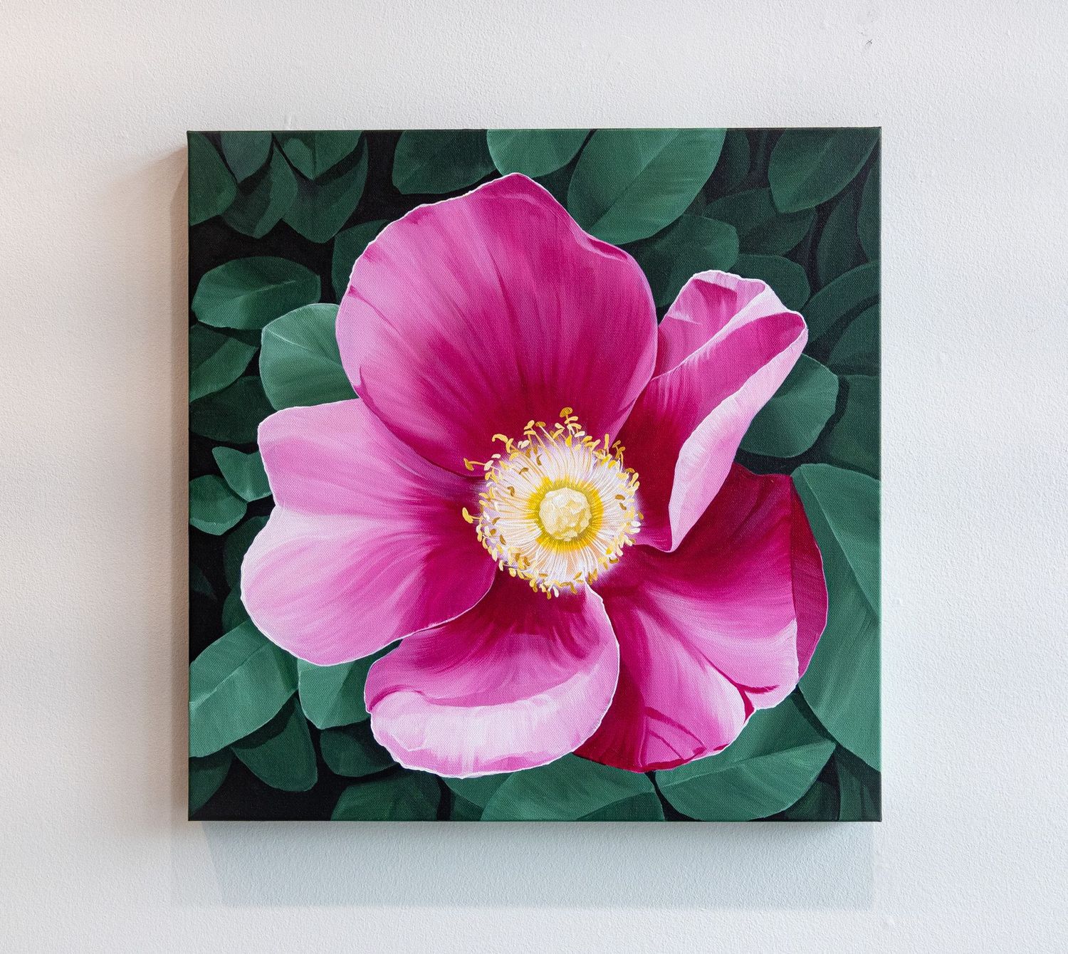 Prairie Rose