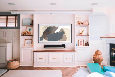 Meghan Bustard - Art TV download, digital file