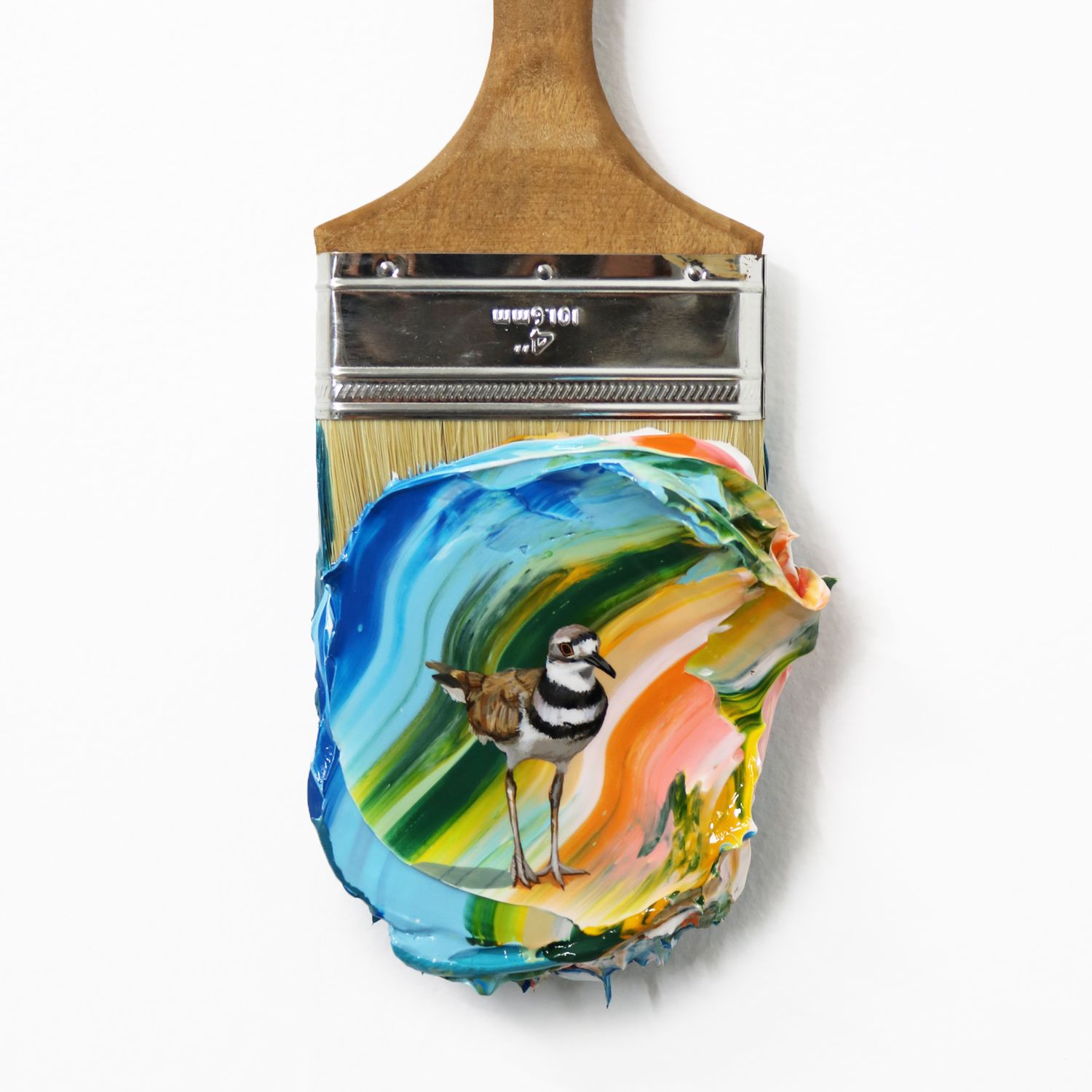 Shorebird
