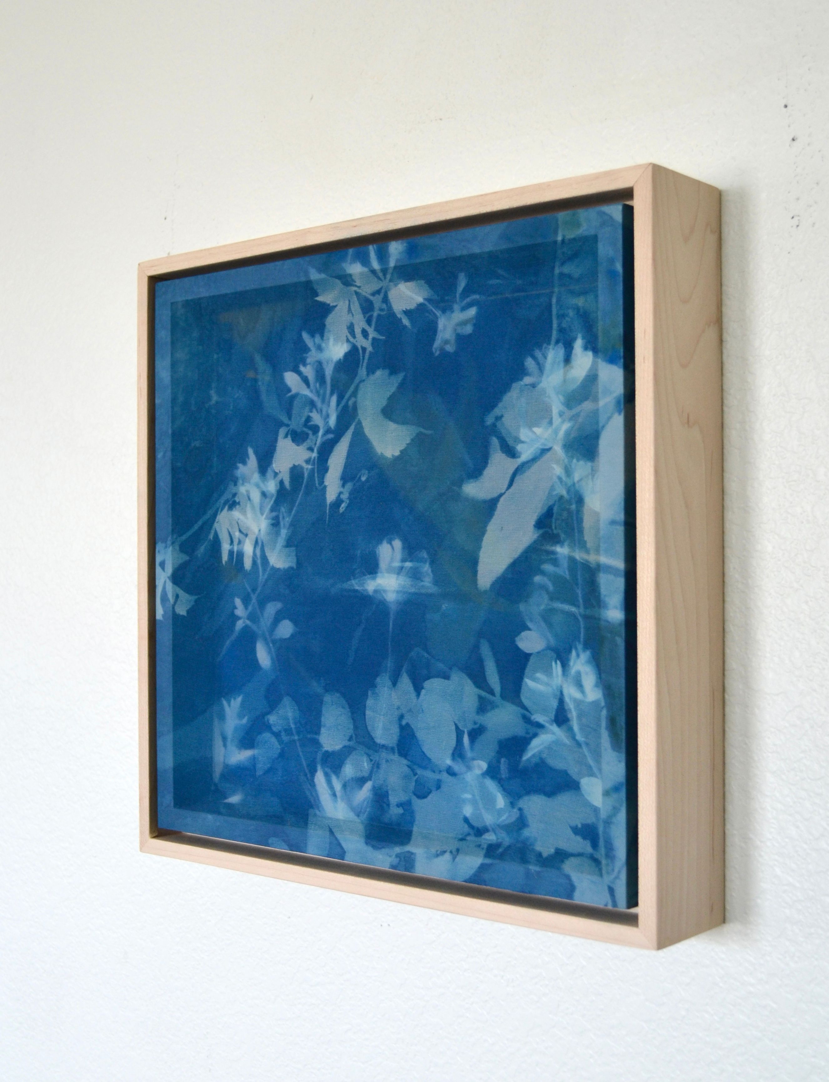 Invitation to Wonder (I)