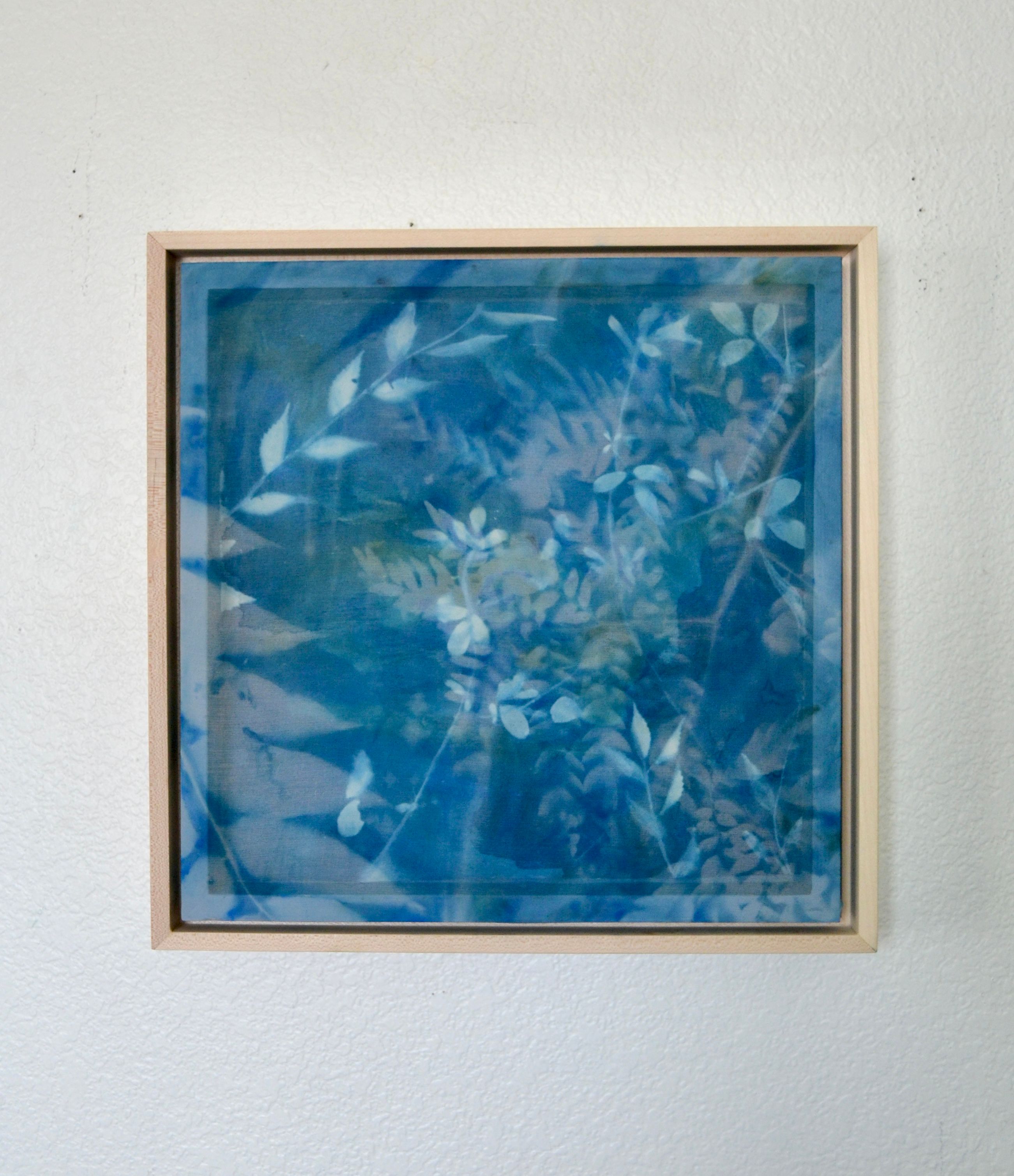 Invitation to Wonder (II)