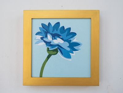 Cornflower