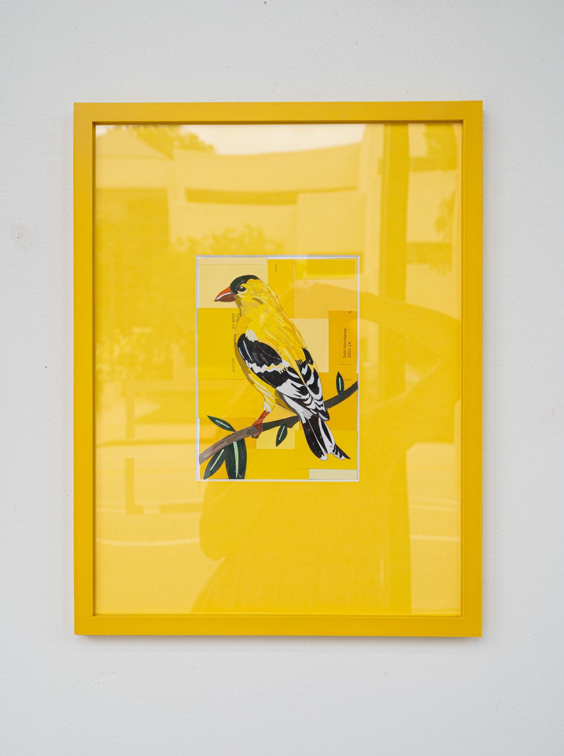 American Goldfinch on Yellow