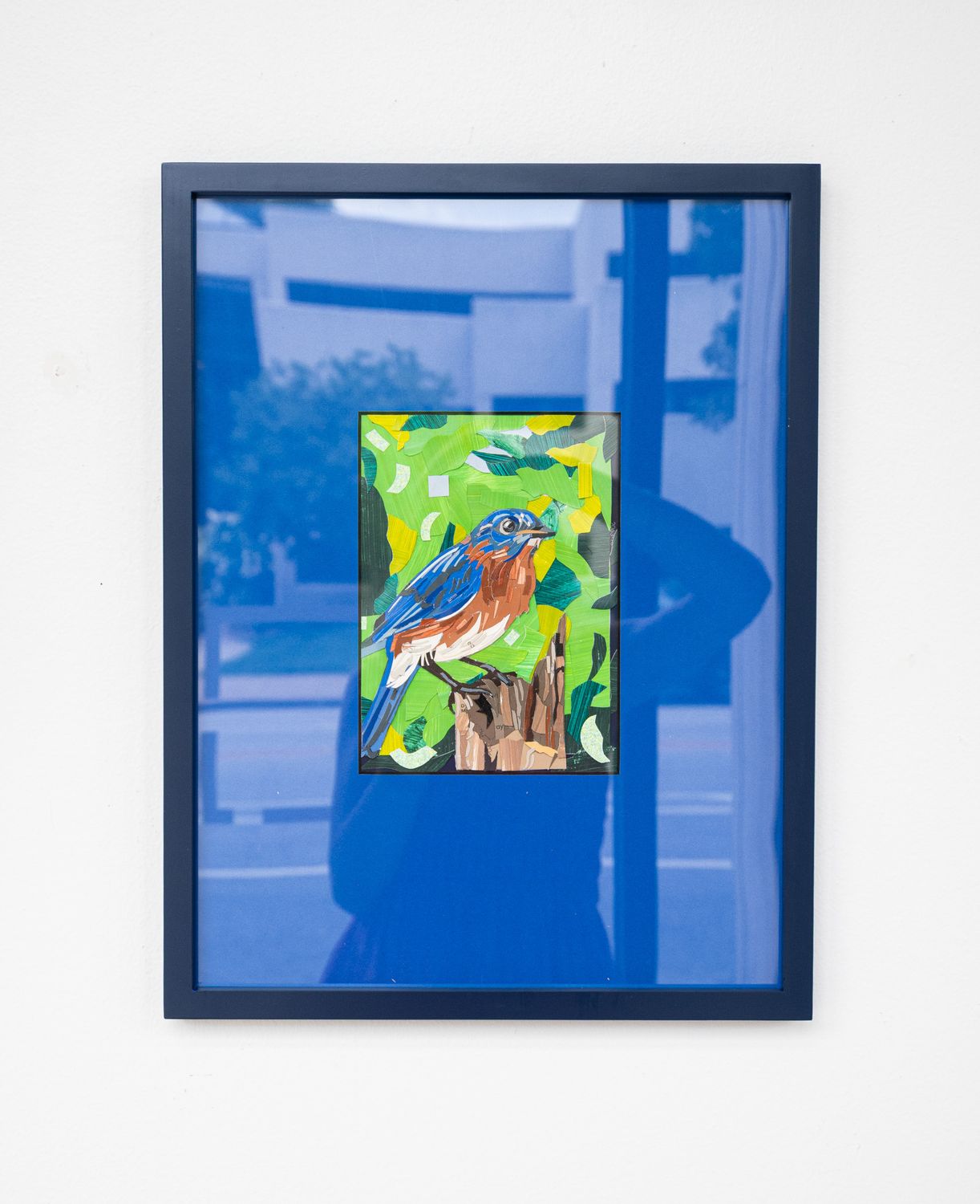 Bluebird on Blue