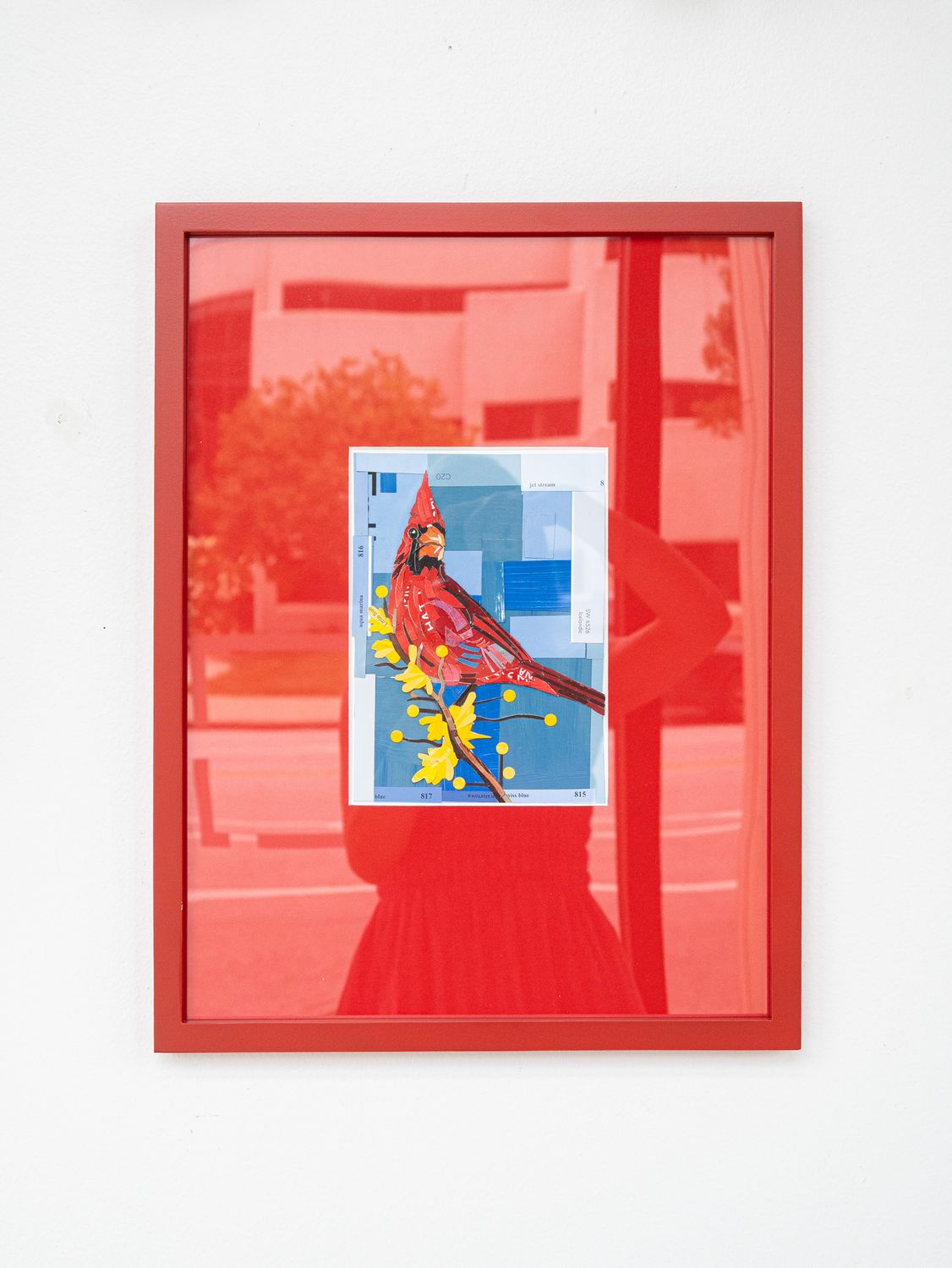 Cardinal on Red