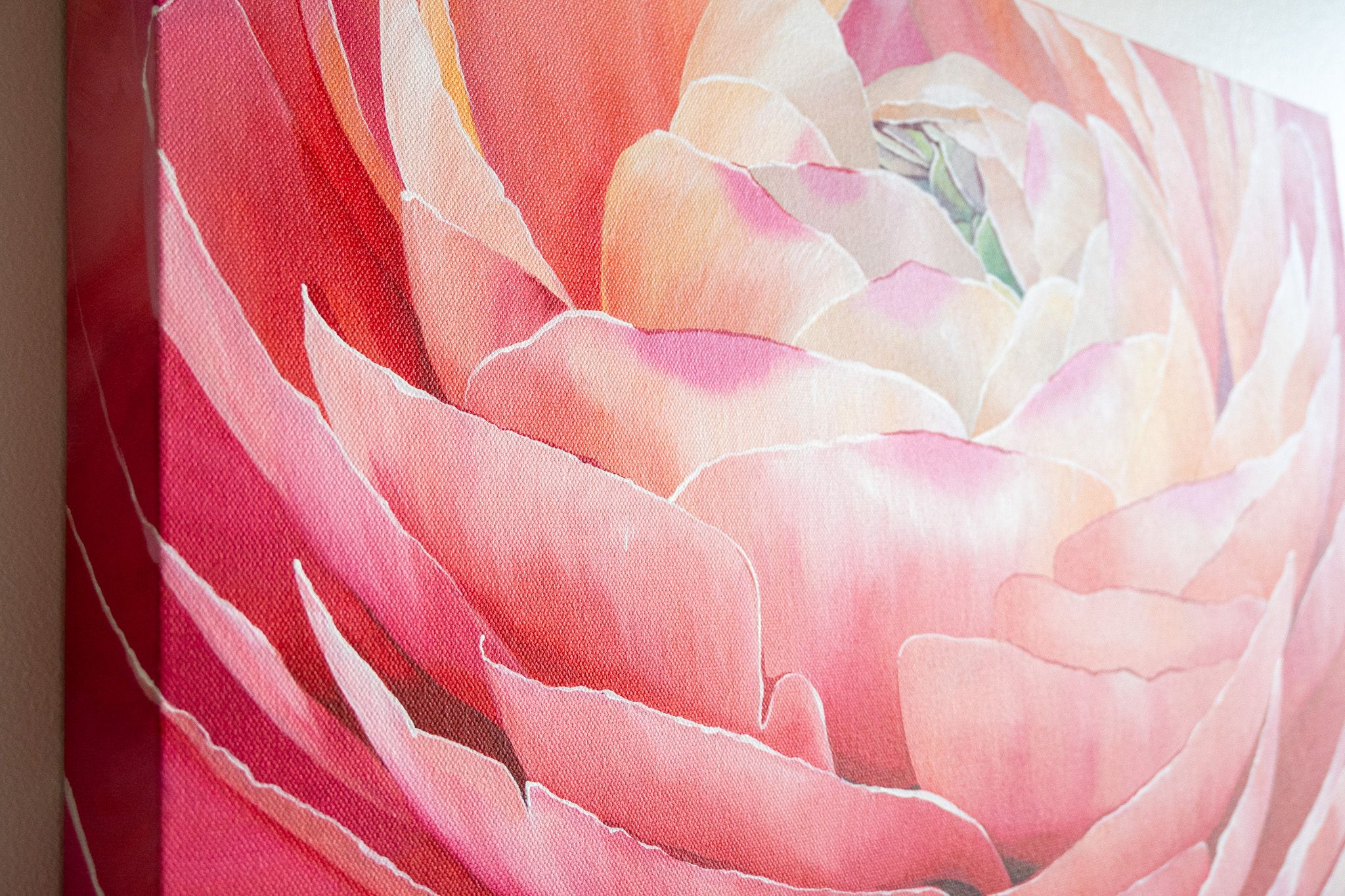 Buttercup Ranunculus