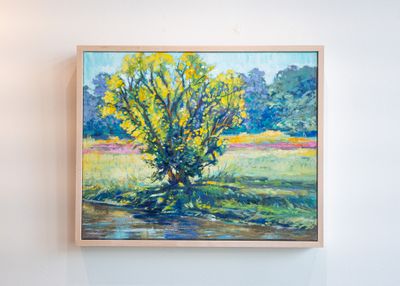 Cottonwood (White Rock Conservatory)