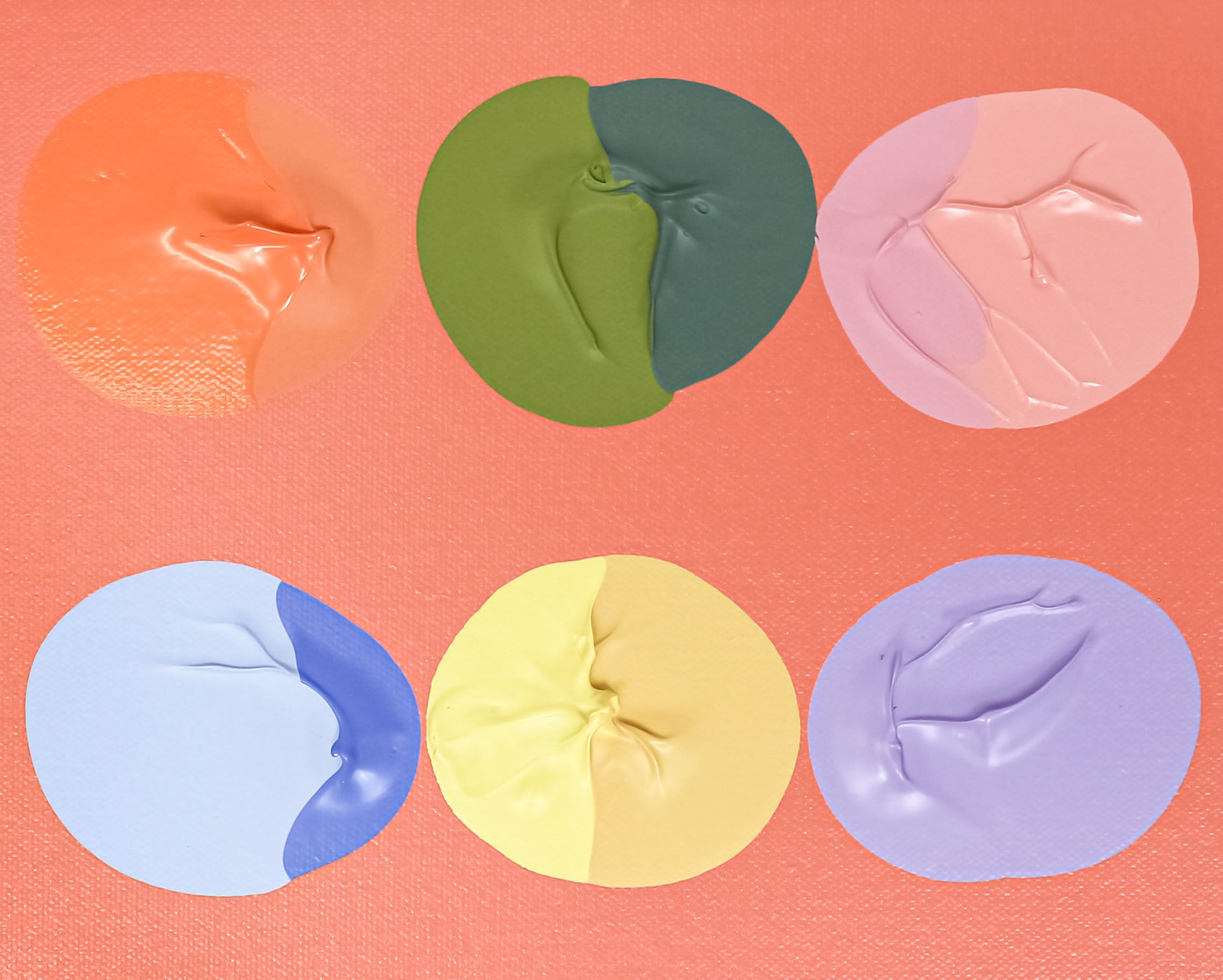 Do You Eat Off Of Wedgewood Plates? Or Just Look At Them?