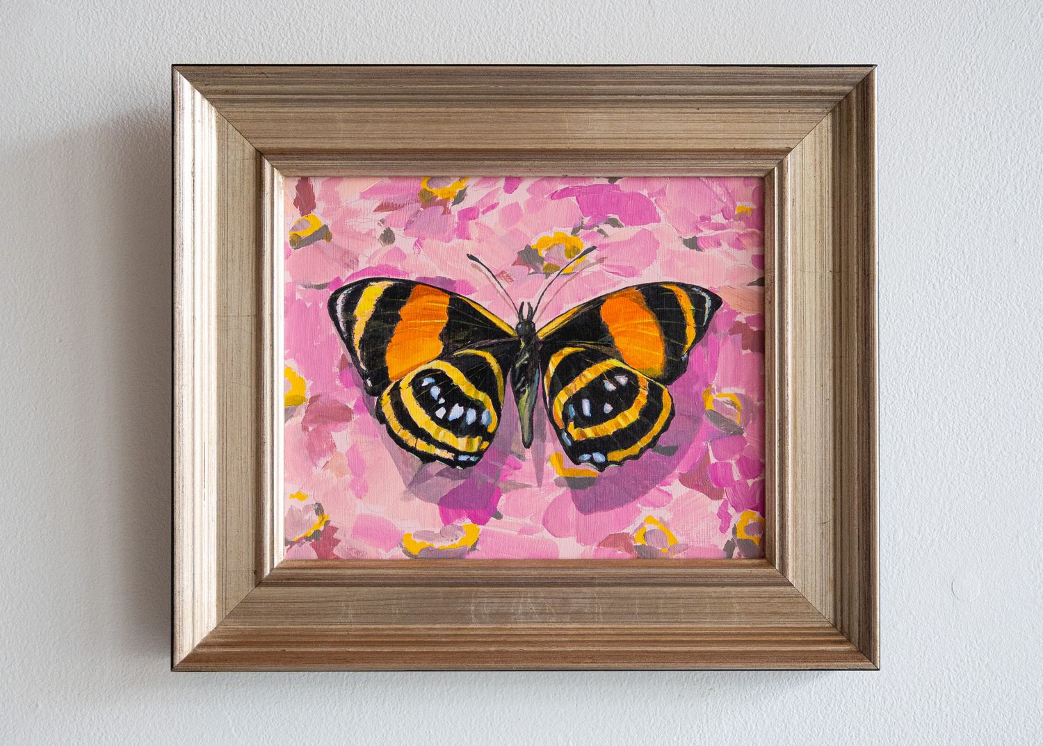 Heliconius on Pink