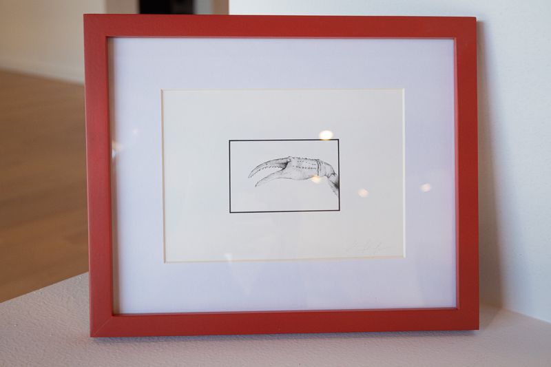 Combing First Beach, La Push