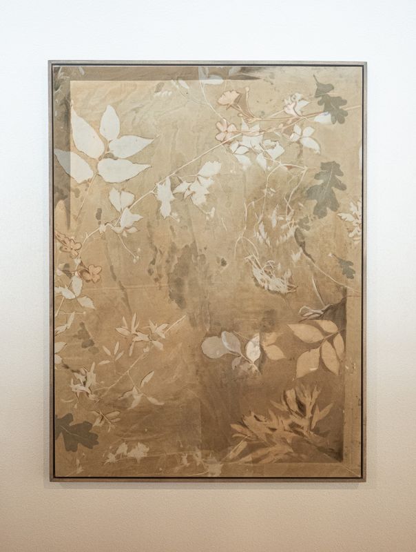 Heart of Petals, Spine of Oak