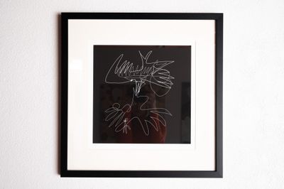 Feeding Bird Feeding Bird