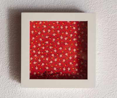 Dead Roach Dead Roach