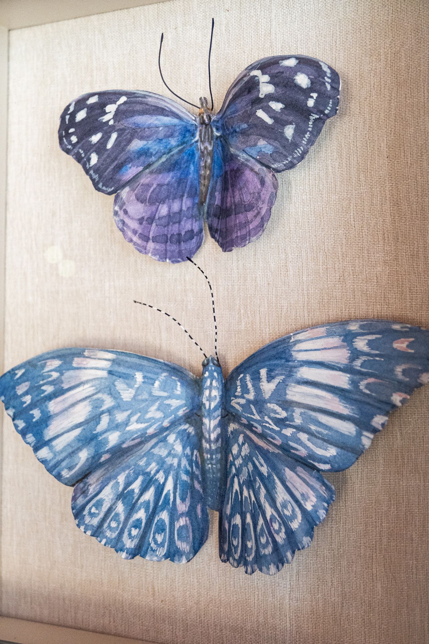2 Blue Butterflies