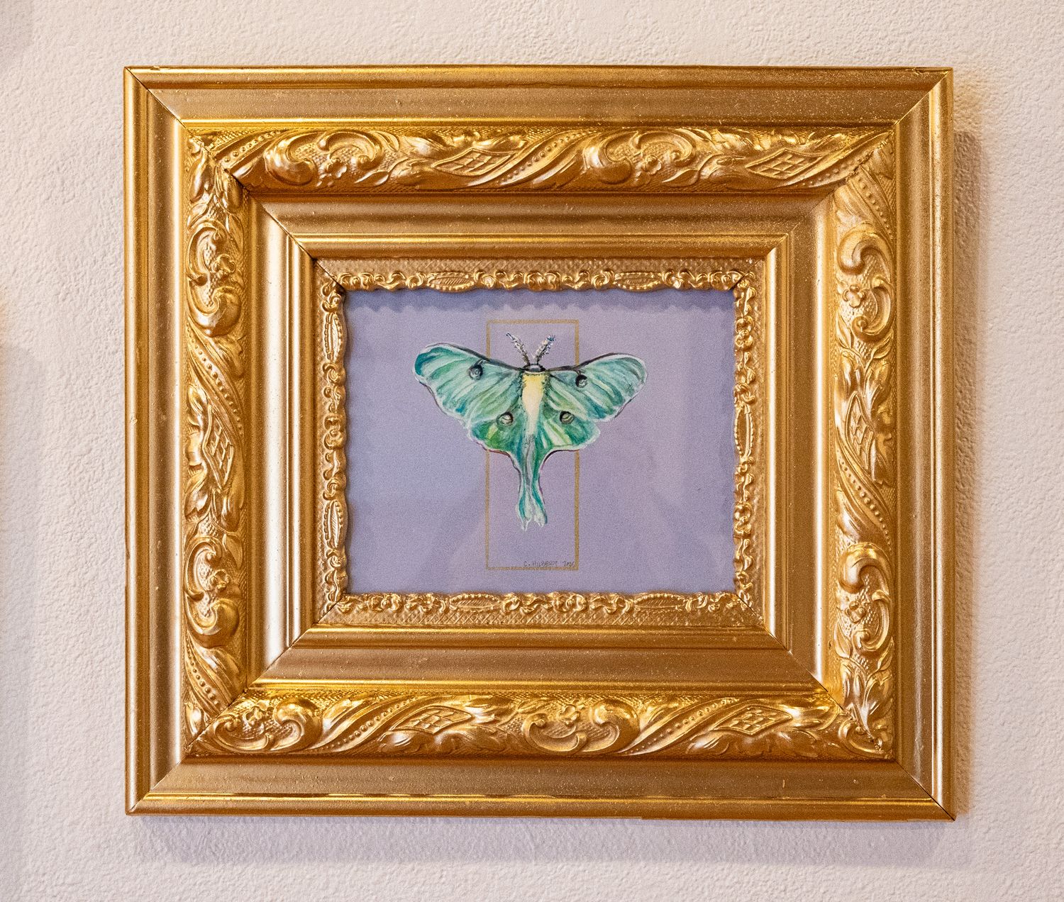 Lunar Moth Lunar Moth