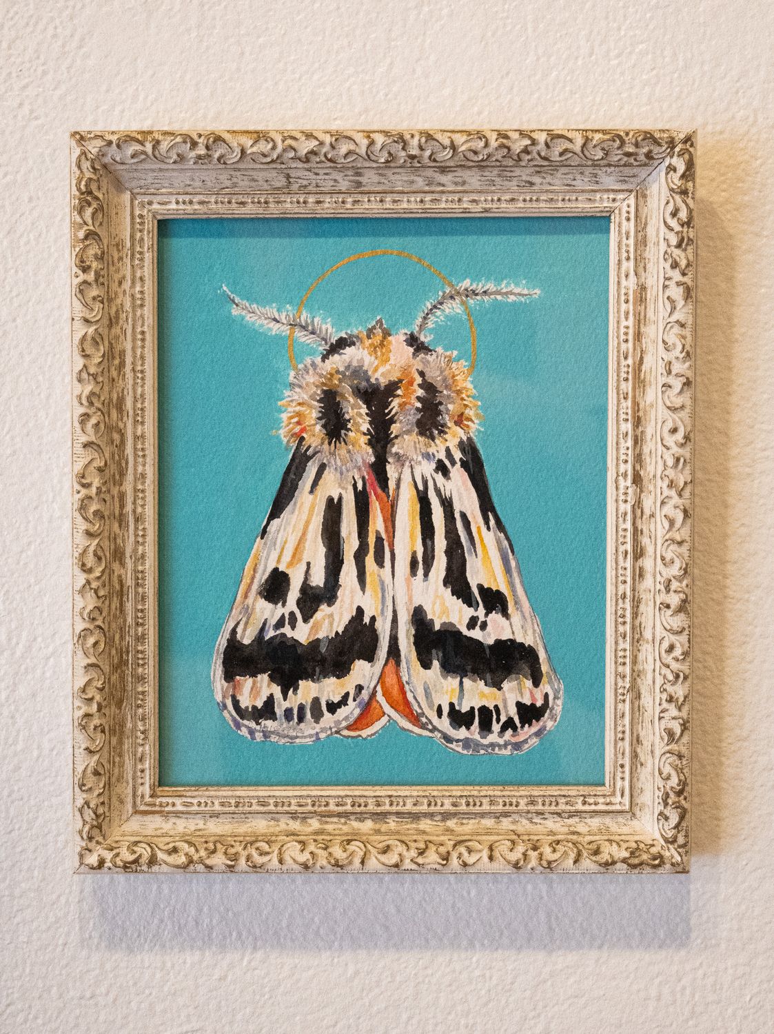 Tiger Moth Tiger Moth