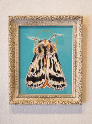 Tiger Moth Tiger Moth