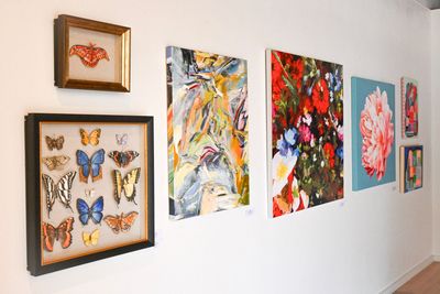 Iowa Artist Feature