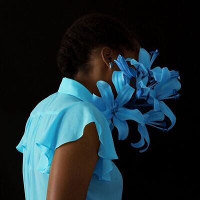 Wandering in the Blue (Framed)