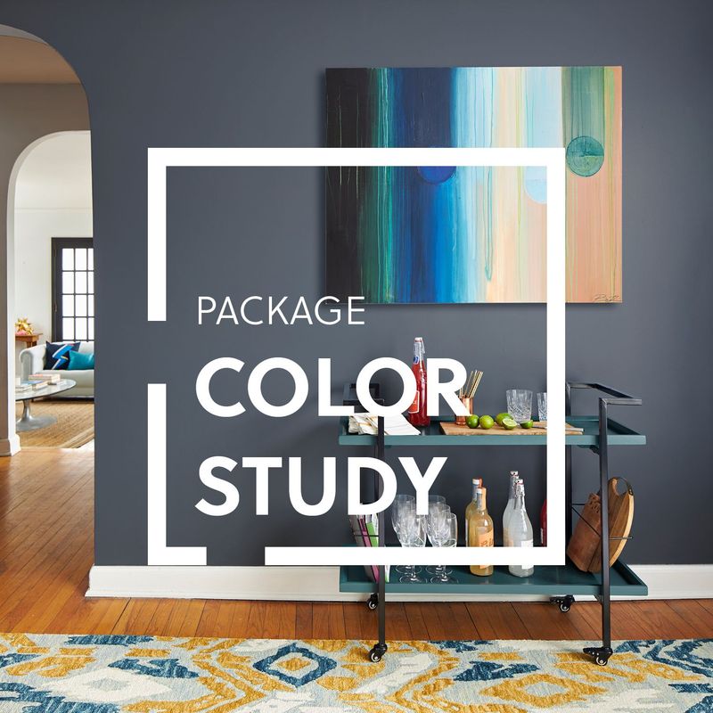 Design Package: Color study