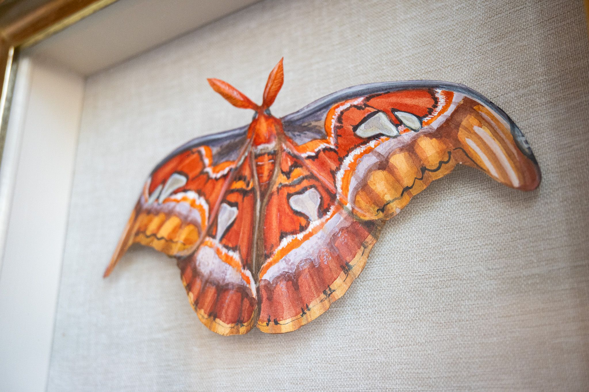 Silk Moth