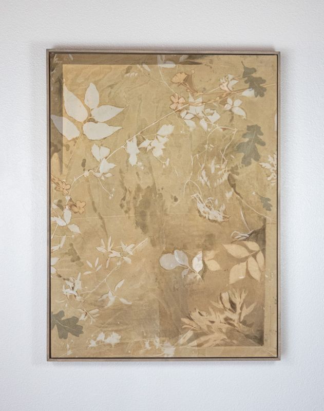 Heart of Petals, Spine of Oak