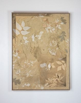 Heart of Petals, Spine of Oak