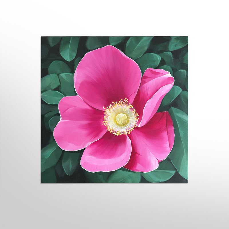 Prairie Rose