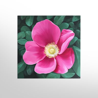 Prairie Rose Prairie Rose
