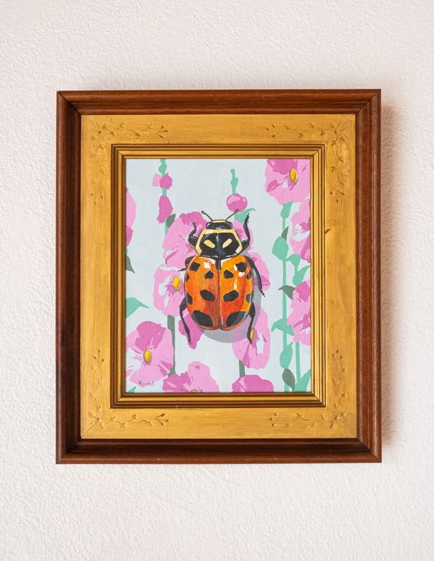 On Hollylocks On Hollylocks