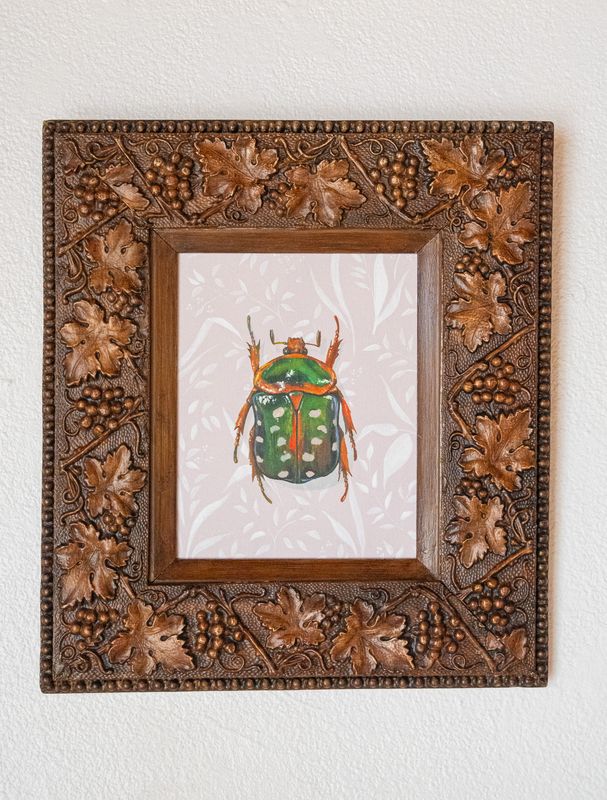 Spotted Flower Beetle Spotted Flower Beetle