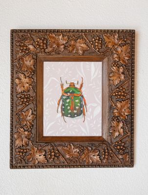 Spotted Flower Beetle Spotted Flower Beetle