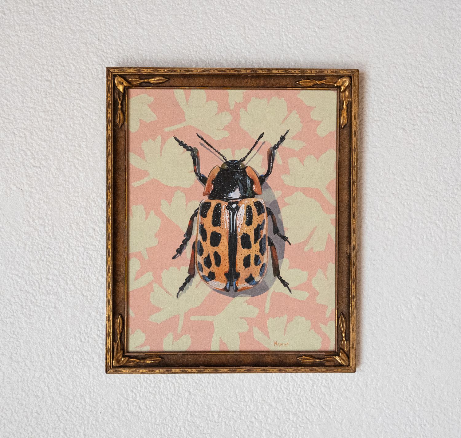 Cottonwood Leaf Beetle