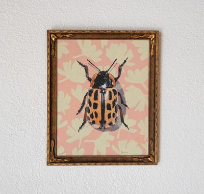 Cottonwood Leaf Beetle Cottonwood Leaf Beetle