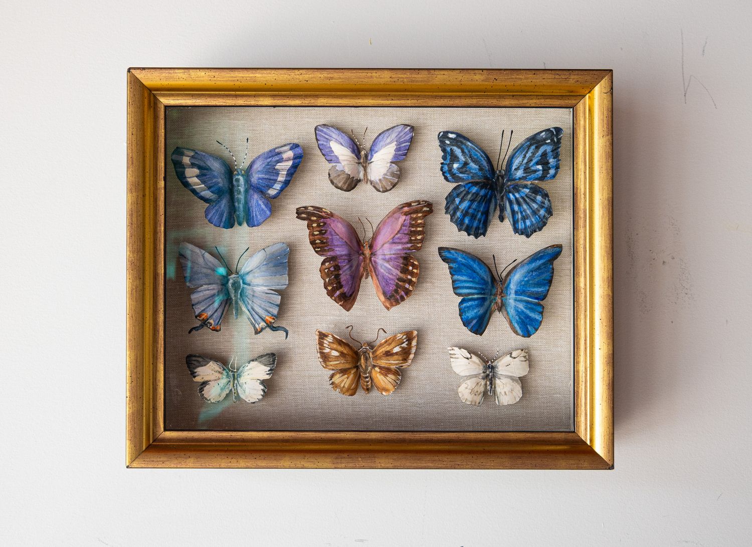 Specimen box - Blues