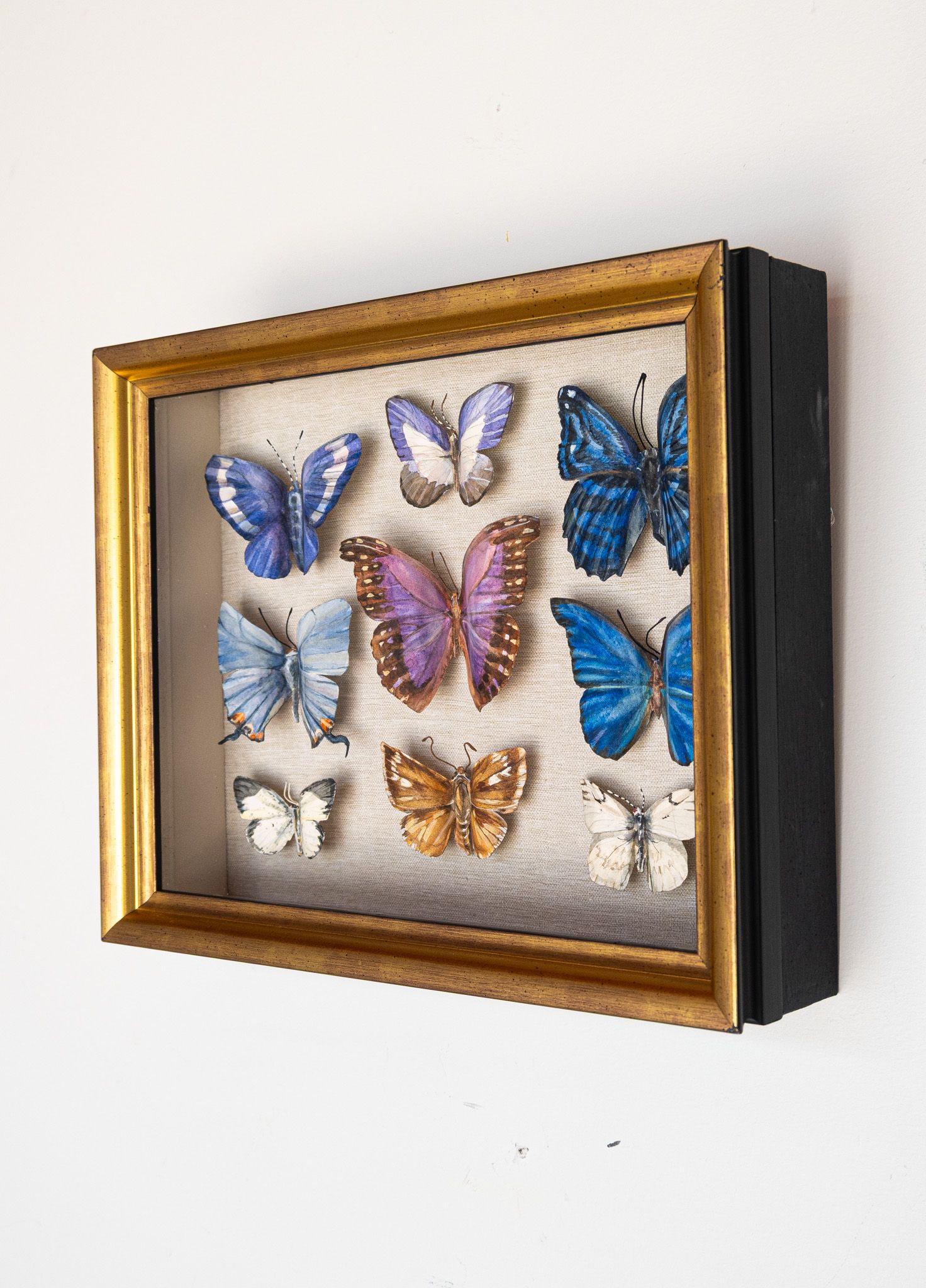 Specimen box - Blues