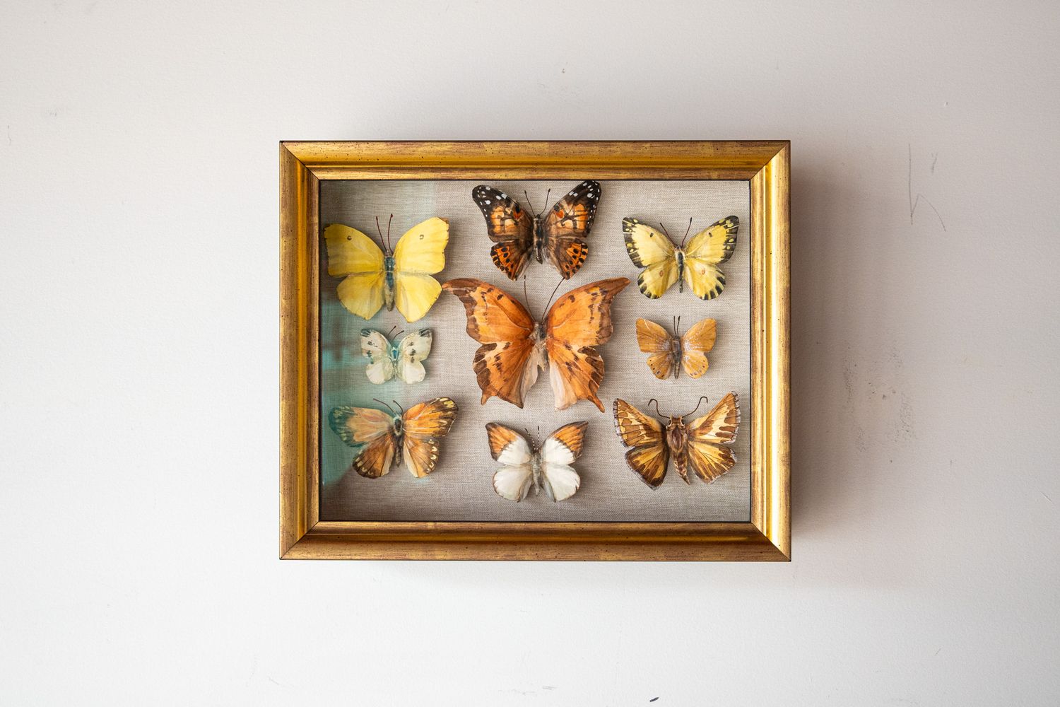 Specimen box - warms