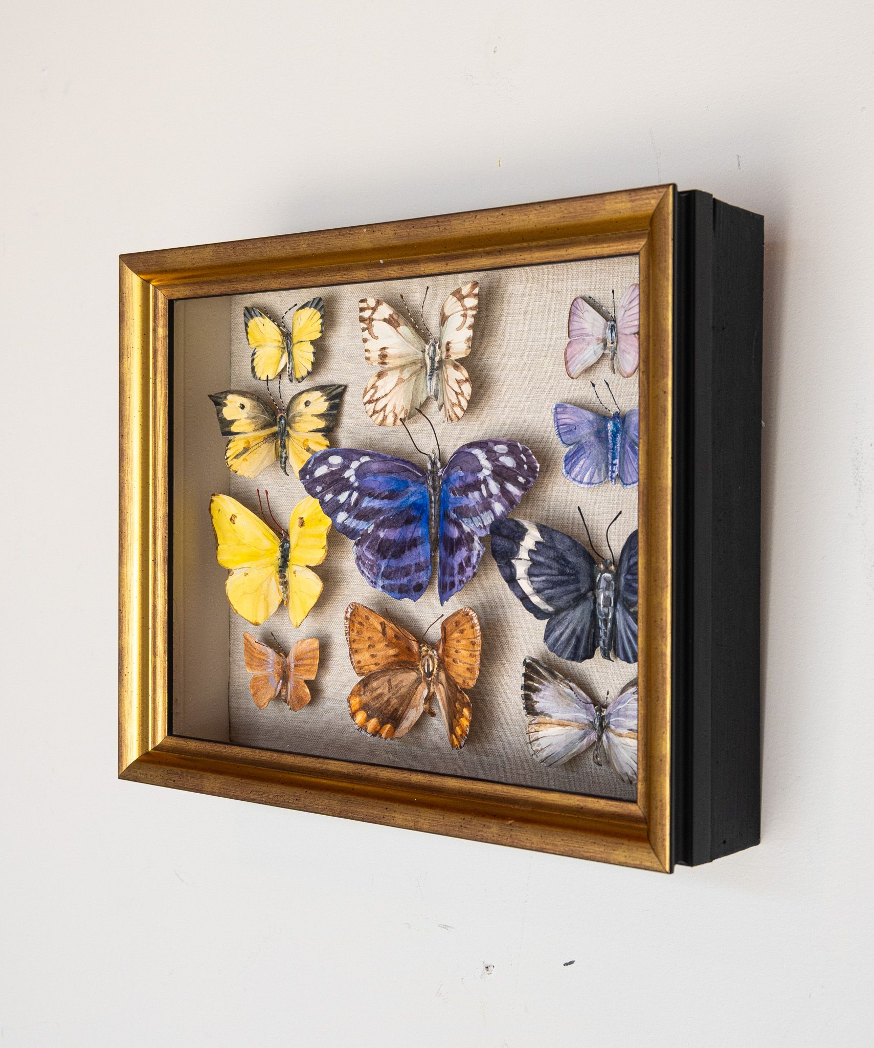 Specimen box - mixed