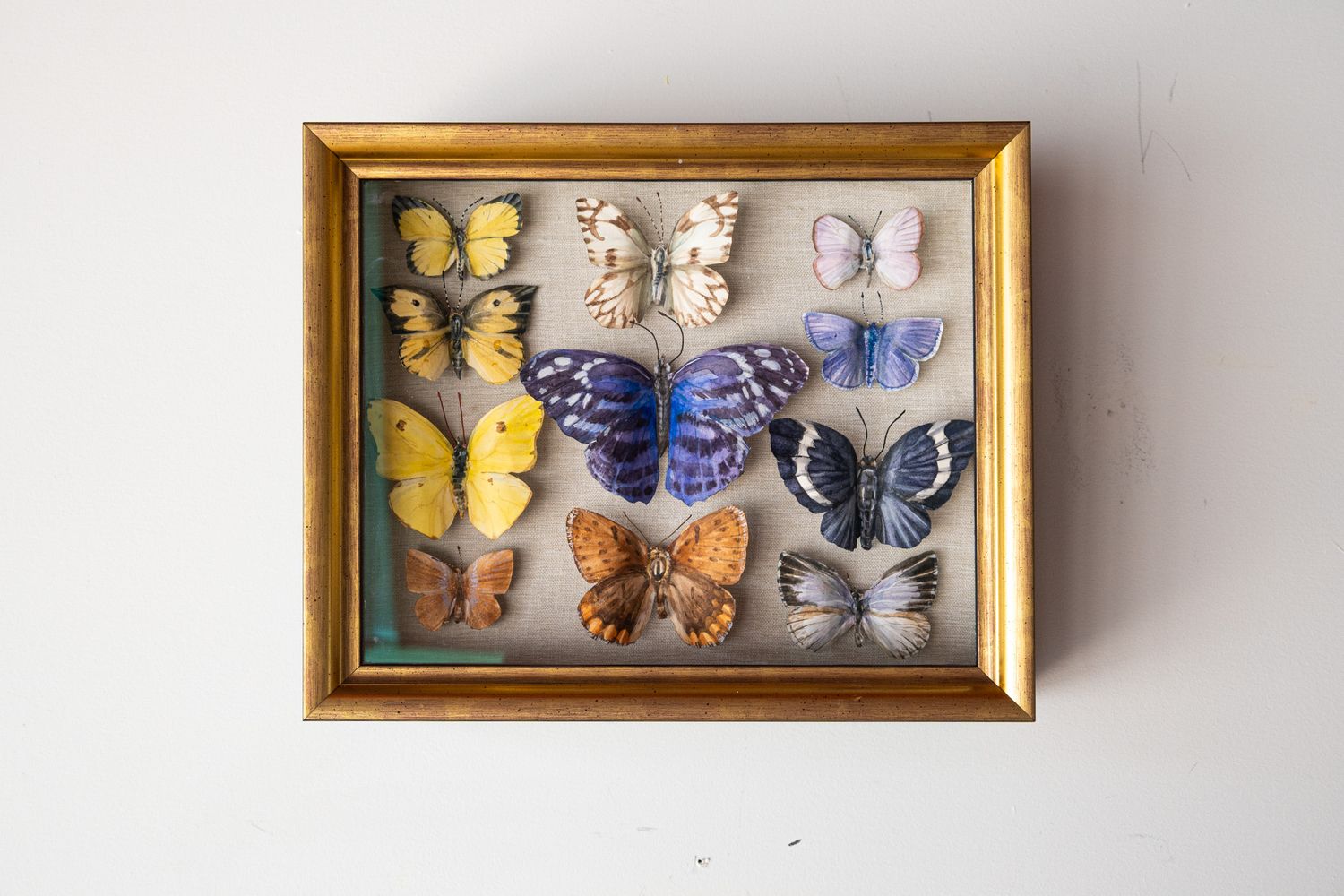 Specimen box - mixed
