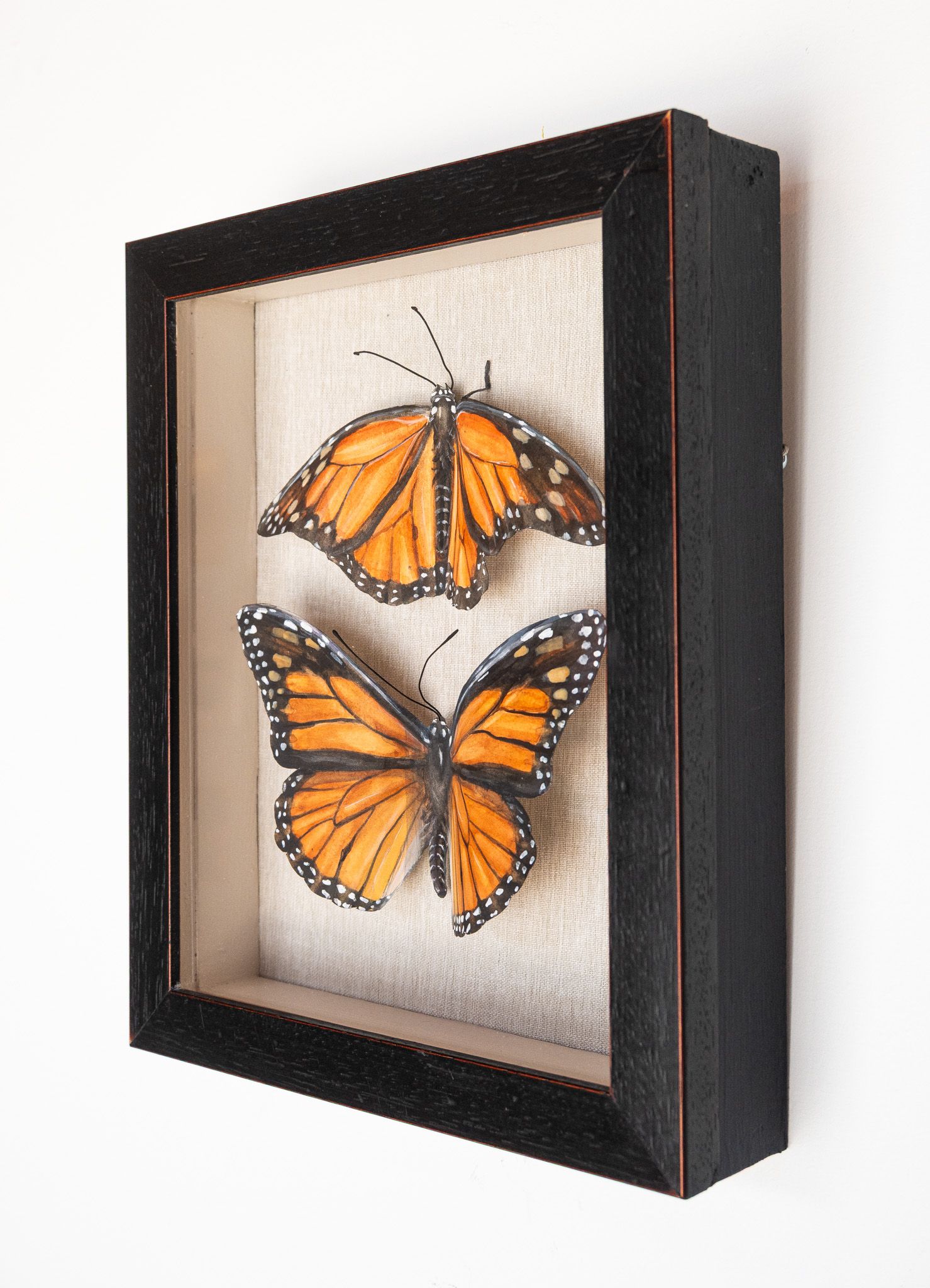 Two Monarchs