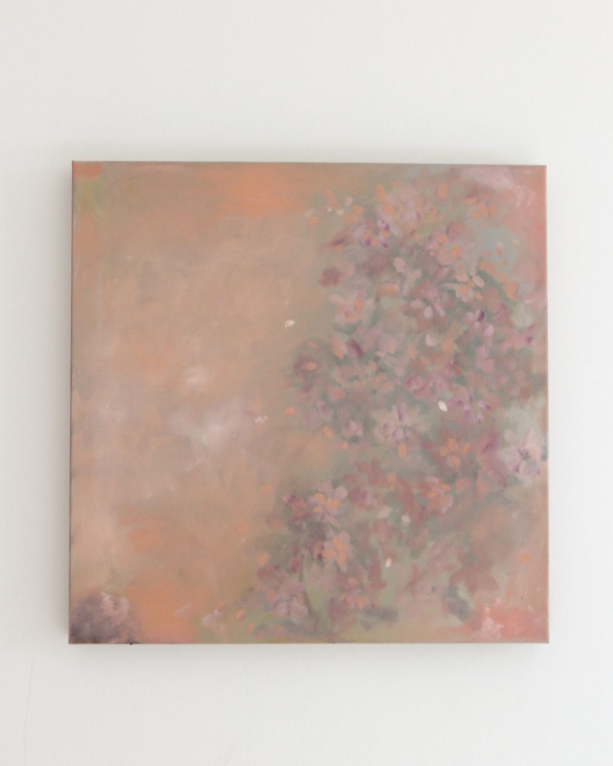 Canopy in Blush