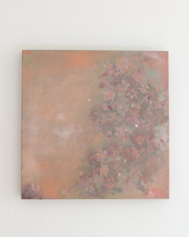 Canopy in Blush
