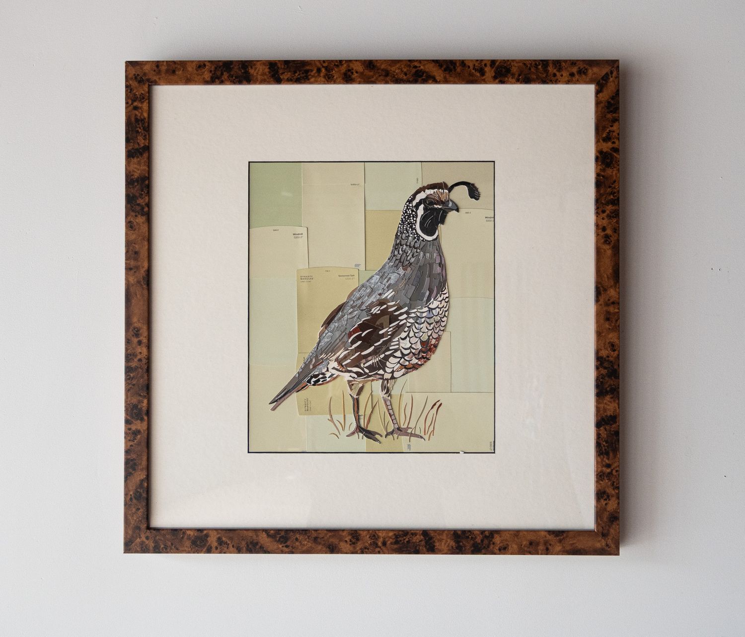 Quail Quail