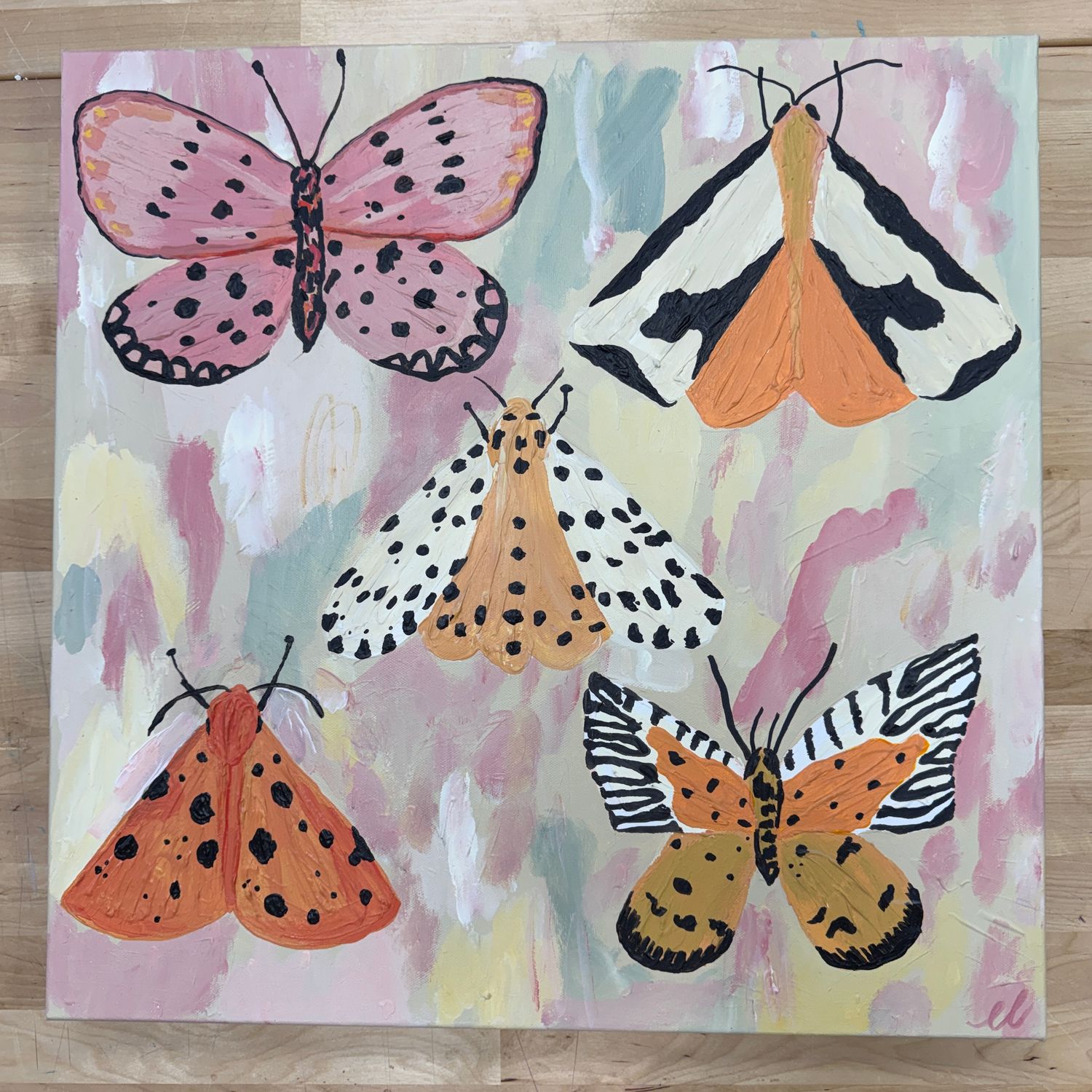 Summer Moth